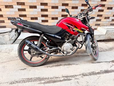 Yamaha YBR 125g 2019 model best condition