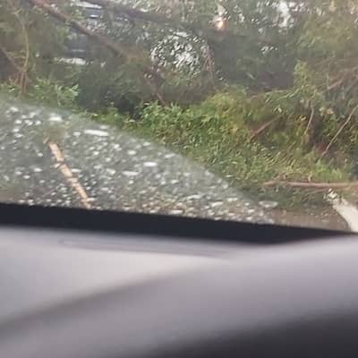 Dairy farm k liye worker chaye