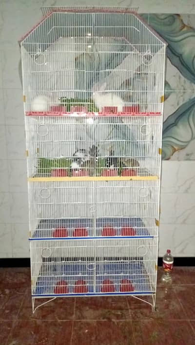 parrot cage