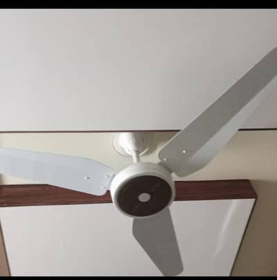 CEILING FAN