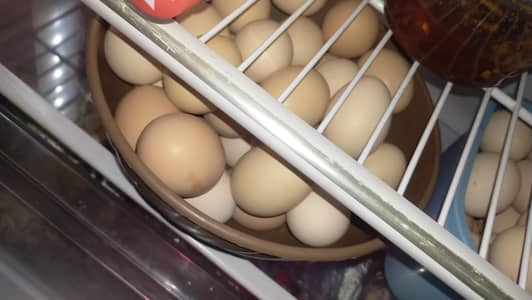 Fresh Homegrown Hens