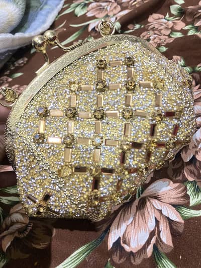 Clutche for sale