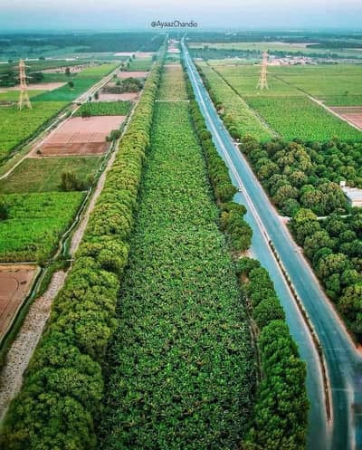 Agriculture Land For Sale In Hyderabad - Mirpurkhas Road