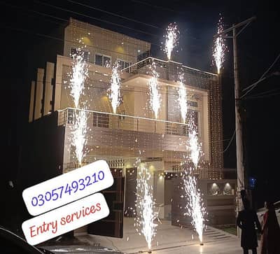 Entry services/dj/wedding lighting flowers  decoration/event planner