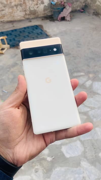 pixel 6 pro 10.10 approved