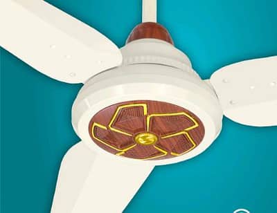 Marketing Manager Berq Fans