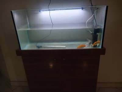 fish equarium 3gold fish 1shark fish