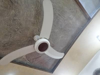 Original Royal Ceiling Fans – Almost New | Set of 2