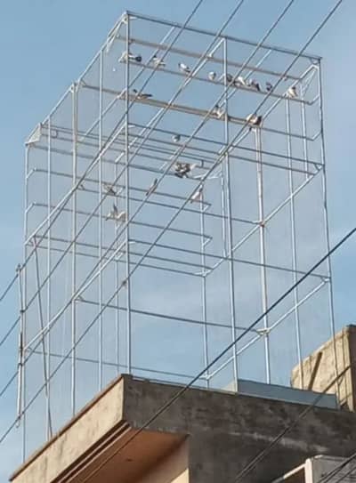 Cage Jaal available for sale only WhatsApp or contact no. 0308-5000940