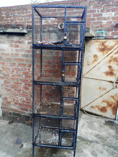 love birds cage for sale