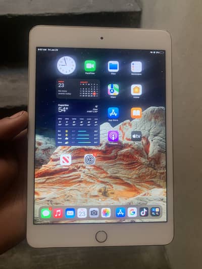 iPad mini 4 03174242831 WhatsApp number