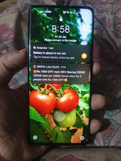 oppo reno 4 pro (8/256)