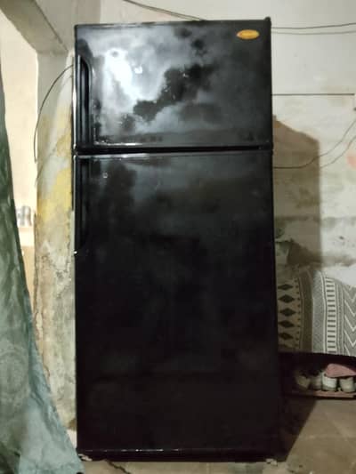 lyne Waly contact karein