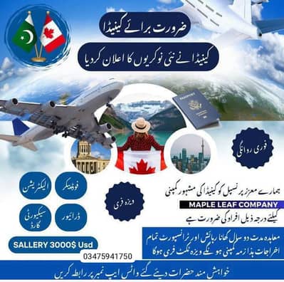 We are Hiring for staff