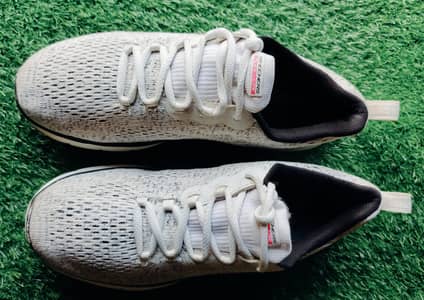 original Skechers 0311.6550505