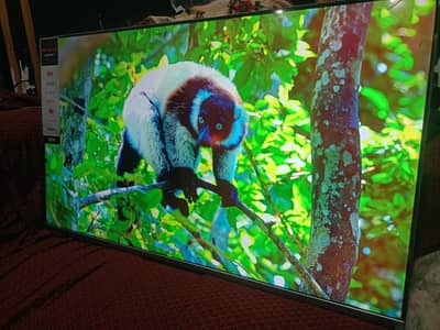TCL 50p715 2160 ultra 50 inch