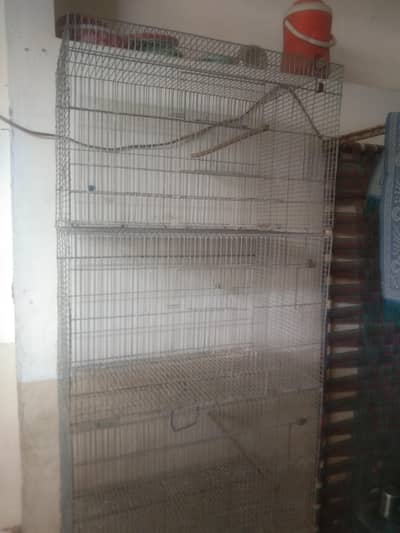 Birds cage