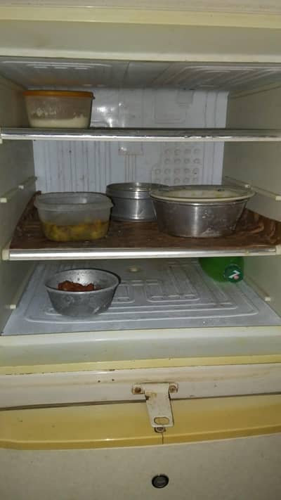 All ok ha Medium Size    urgent need Money