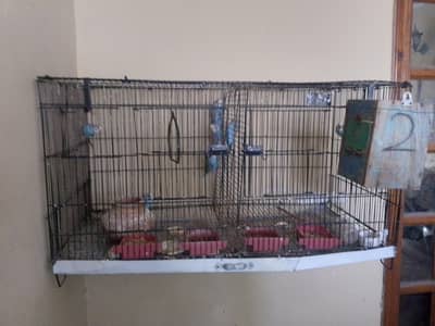 Full size cage for parrots, finches and etc . . . . .