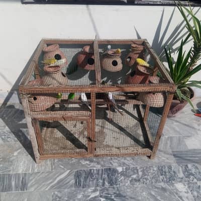 budgies and cage for sale!