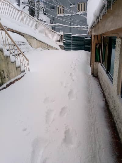 beautiful furnished room per day