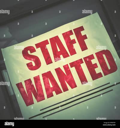 12 to 16 year boy required for House work