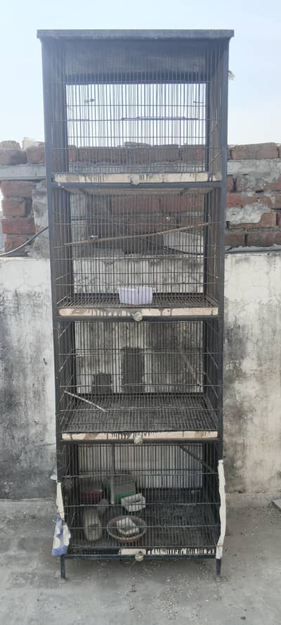 Birds iron cage