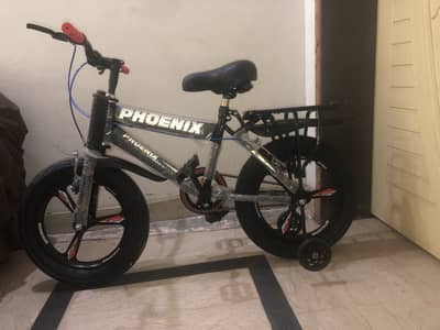 Phoenix kids bicycle