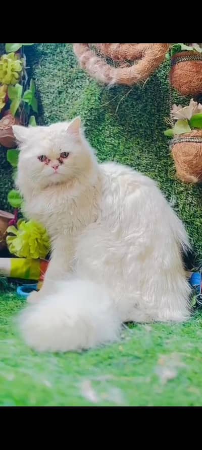 person punch male for stud