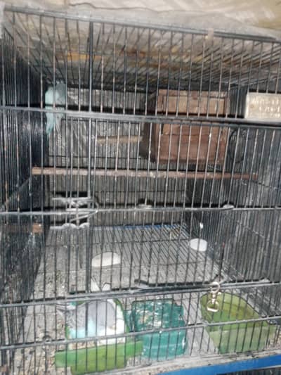 10 number wire mein hai