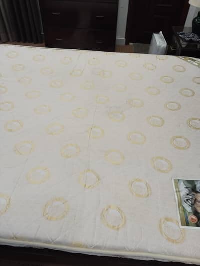 dabel beds gada ha 4inch new 6.6 by 5.6