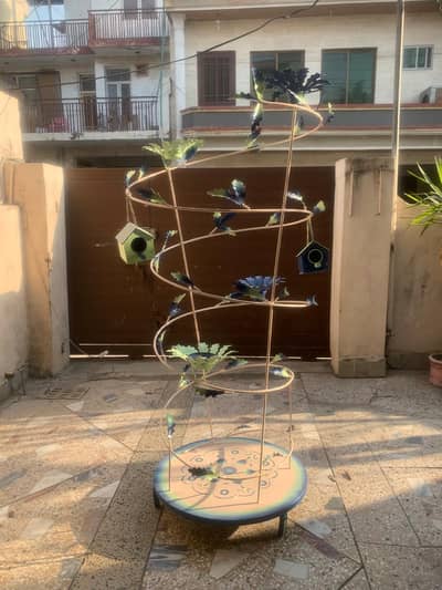 aesthetic outdoor bird sanctuary