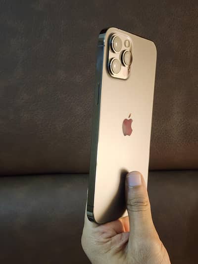 iPhone 12 pro max 256gb factory unlock