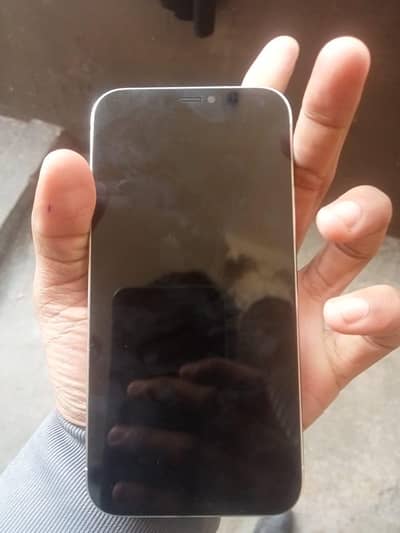 iPhone 12 Pro exchange iPhone 11 12 or google