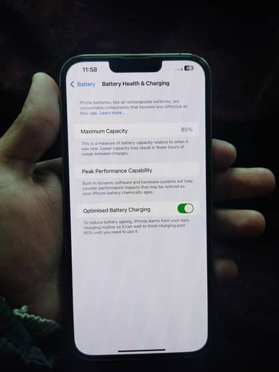 Iphone 13 pro max 128 jv