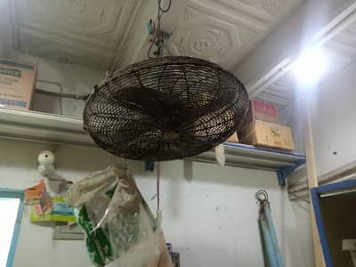 shop fan