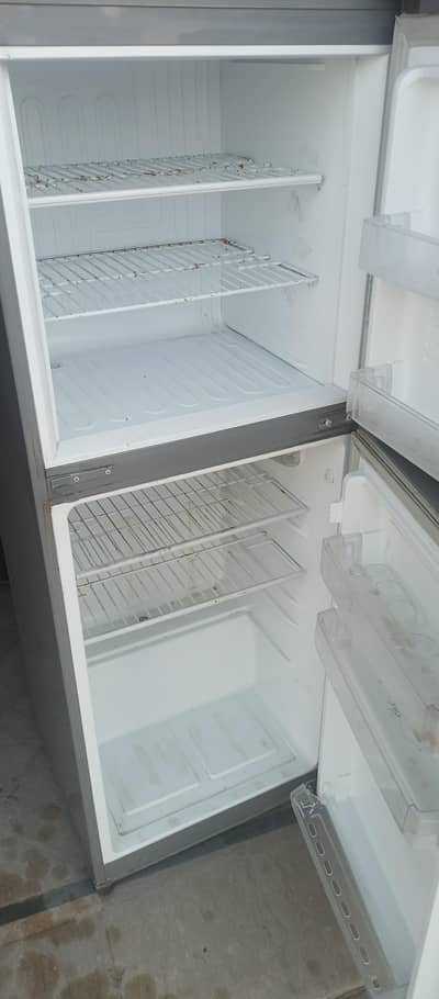 Pel fridge for sale