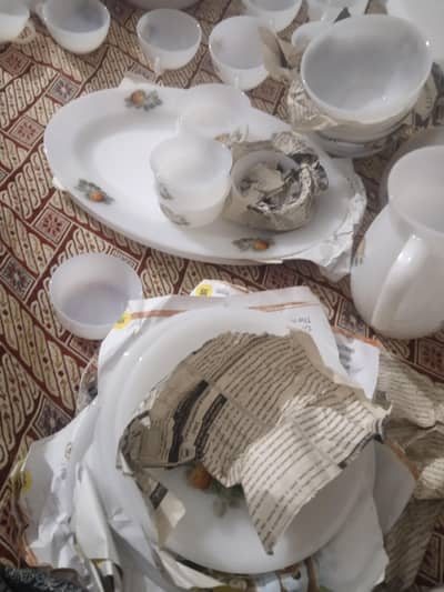 serious Bayer's context kren