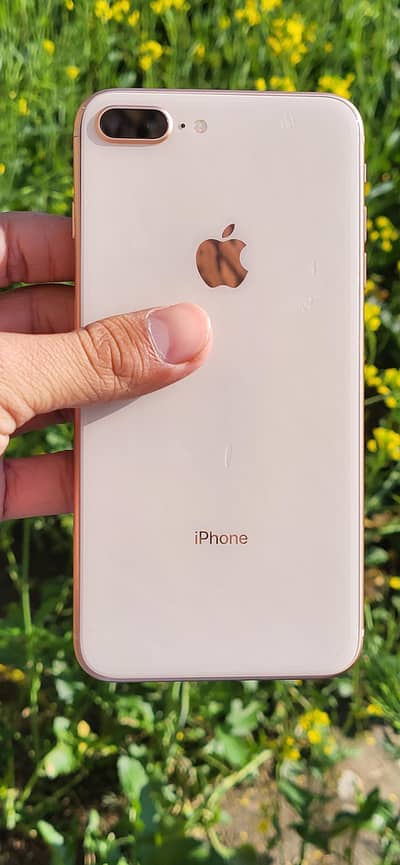 iphone 8 plus offically approved 