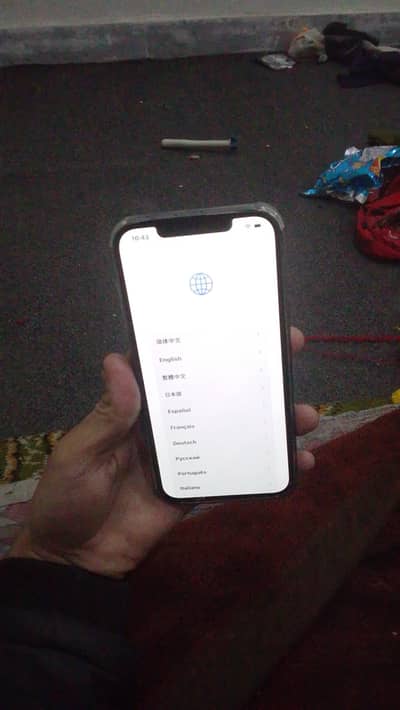 12 PROMAX ICLOUD LOCK