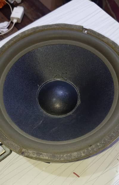 woofer speaker