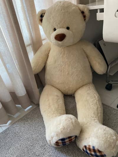 big soft Teddy bear   excellent  condition | islamaba