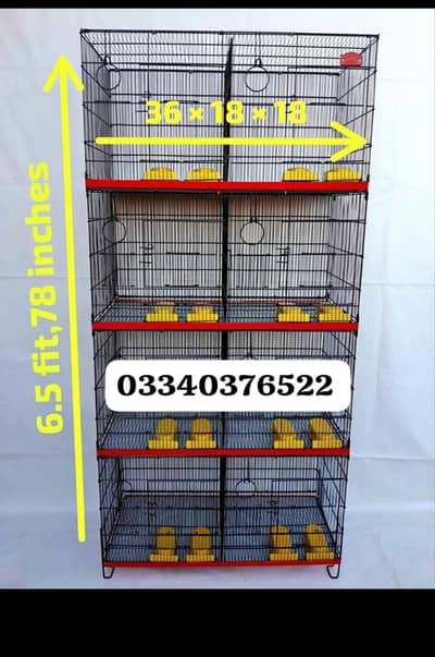 cages and black wing pairs top Quality Australian pairs