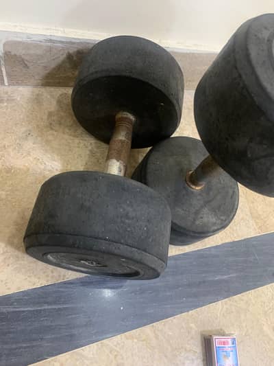 2 Dumbbells (8–8 KG)– Used, Bilkul Achhi Condition, home workout