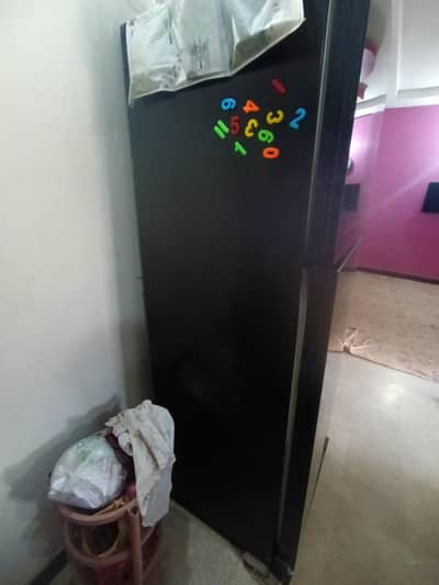 Kenwood fridge full-size