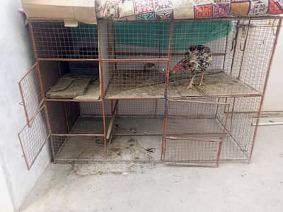 1 in 4 portion  according to use