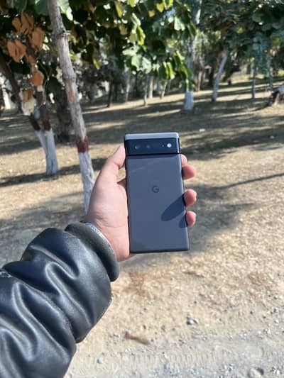 Google Pixel 6 PTA Approved