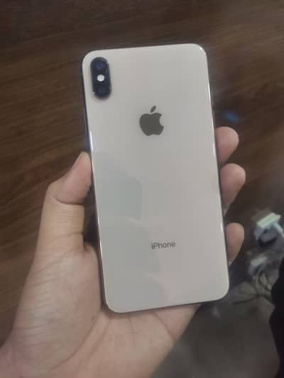 Xs max 256 Gb Non Pta