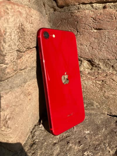 Iphone Se3 Lush condition in cheap price