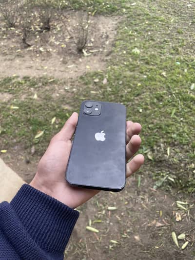 Iphone 12 for sale